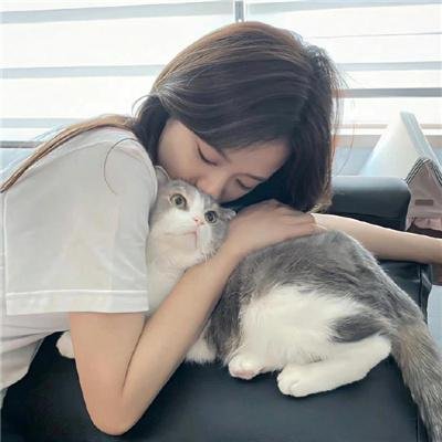 双生赤狐